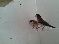 /album/galeria-de-fotos/a2013-02-05-17-09-46-jpg/